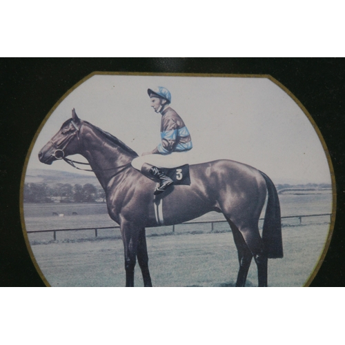 144 - FRAMED VINTAGE PICTURE SHOWING 3 DERBY WINNERS
55 X 20CM