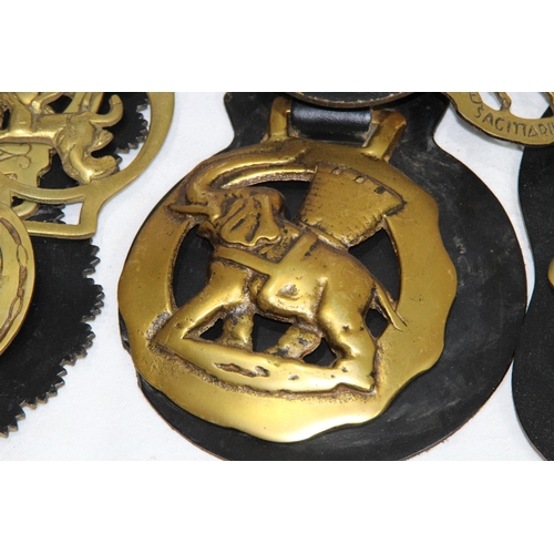 436 - QUANTITY OF HORSE BRASSES