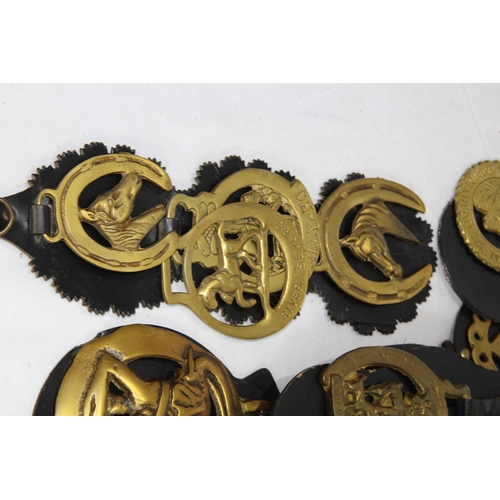 436 - QUANTITY OF HORSE BRASSES