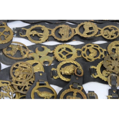 436 - QUANTITY OF HORSE BRASSES