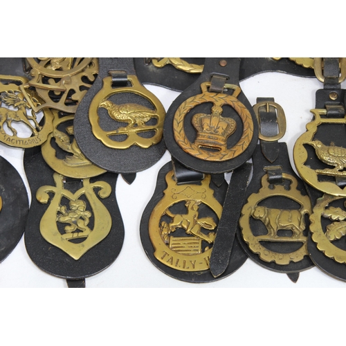 436 - QUANTITY OF HORSE BRASSES