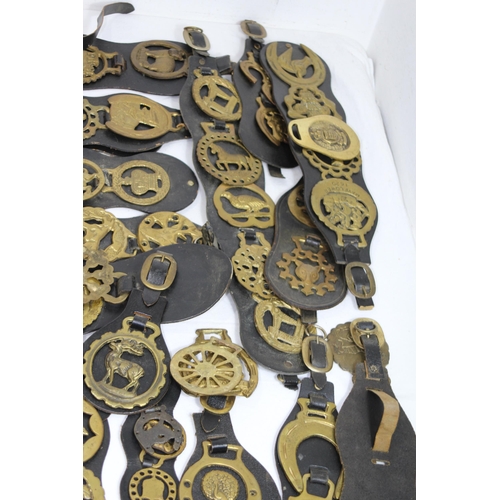 436 - QUANTITY OF HORSE BRASSES