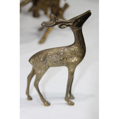 442 - QUANTITY OF BRASS ANIMALS
46CM