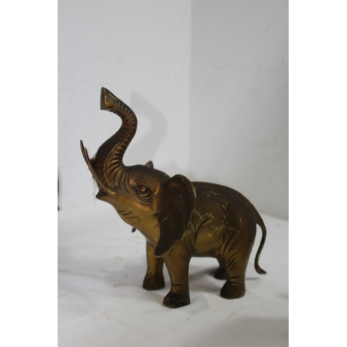 442 - QUANTITY OF BRASS ANIMALS
46CM