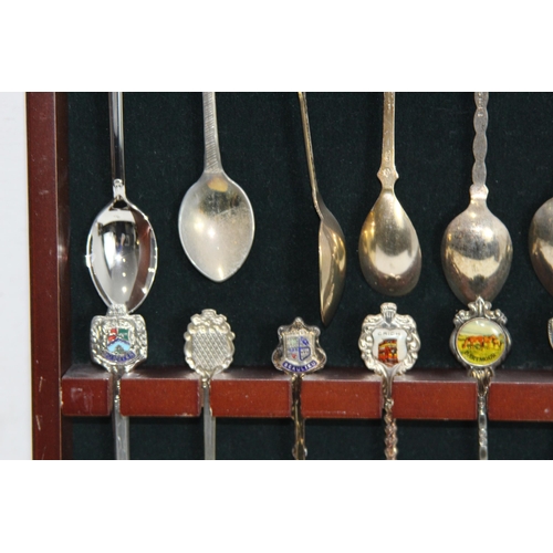 447 - COLLECTION OF COMMEMORATIVE SPOONS ETC
50 X 26CM