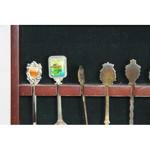 447 - COLLECTION OF COMMEMORATIVE SPOONS ETC
50 X 26CM