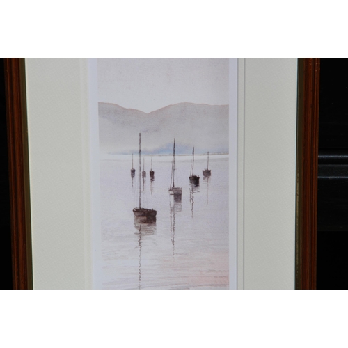 162 - 2 X CLAIRE DAVIS LIMITED EDITION PRINTS
56 X 29CM