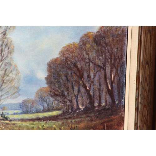 182 - OIL ON CANVAS SIGNED M.W PIKE COUNTRY SCENE 
91 X 65CM