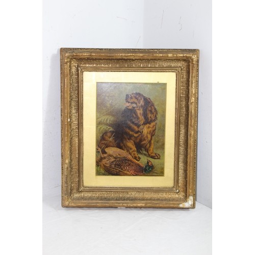 206 - TWO GILT PLASTER FRAMED PICTURES OF DOGS
48 X 38CM