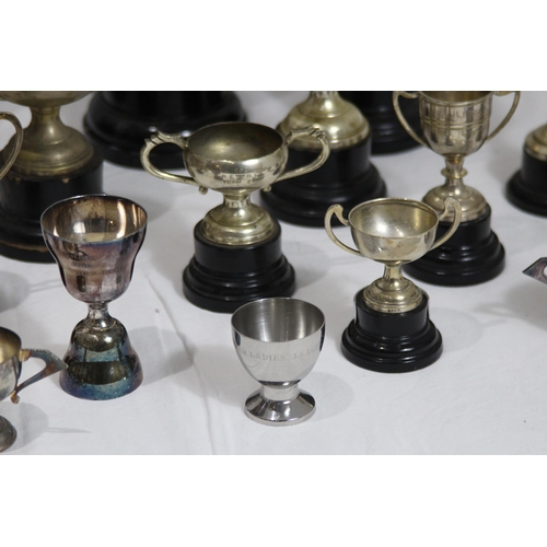 478 - QUANTITY OF PRIZE CUPS