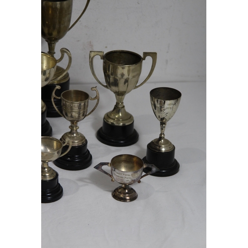 478 - QUANTITY OF PRIZE CUPS