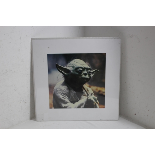 675 - STAR-WARS MEMORABILIA
40 X 40CM