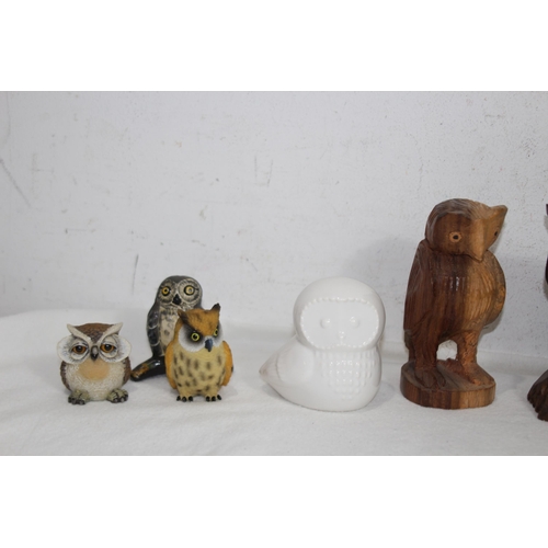 372 - LARGE QUANTITY OF OWL FIGURES 
20CM