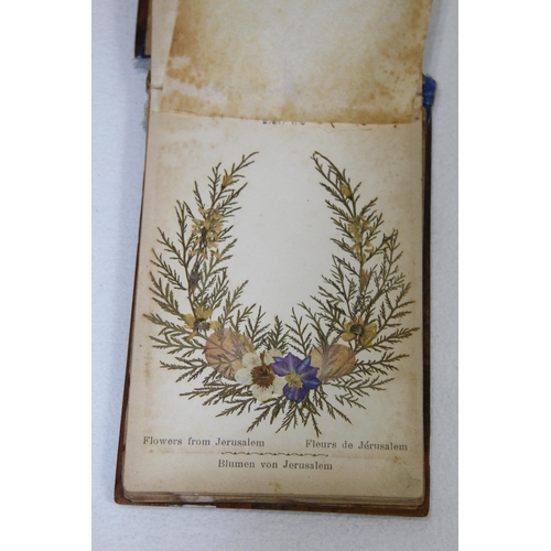 951 - MID 20TH CENTURY WOOD FRAMED ALBUM OF FLOWERS FROM THE HOLY LAND, DRIED AND PRESSED - EARLY JERUSALE... 