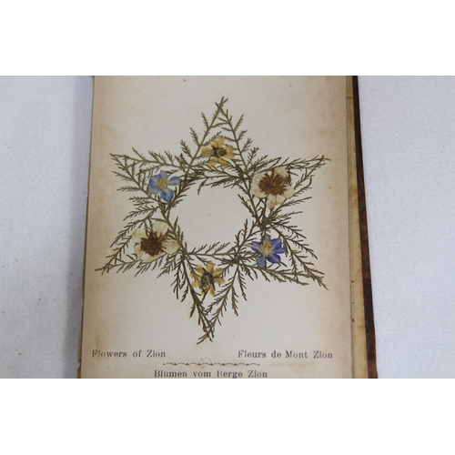 951 - MID 20TH CENTURY WOOD FRAMED ALBUM OF FLOWERS FROM THE HOLY LAND, DRIED AND PRESSED - EARLY JERUSALE... 