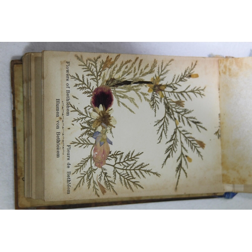 951 - MID 20TH CENTURY WOOD FRAMED ALBUM OF FLOWERS FROM THE HOLY LAND, DRIED AND PRESSED - EARLY JERUSALE... 