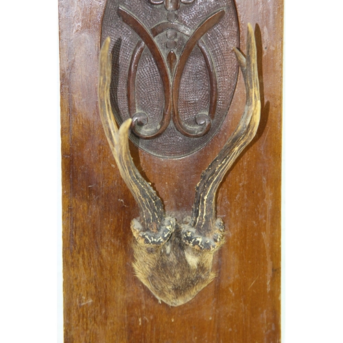 594 - SIX POINTER DEER ANTLER DISPLAY ON A CARVED MAHOGANY BOARD
37 X 17CM