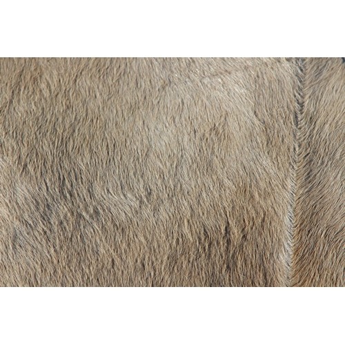 291 - EMBOSSED REAL HIDE RUG
147 X 119CM