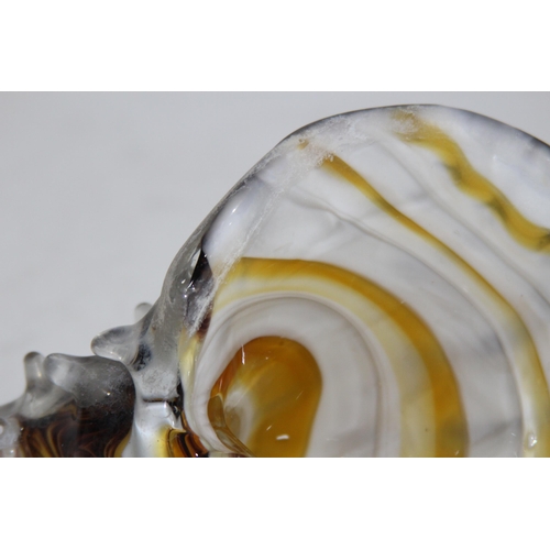 893 - BOXED THE JULIAN ART GLASS SHELL
20 X 14CM