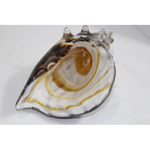 893 - BOXED THE JULIAN ART GLASS SHELL
20 X 14CM