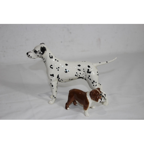 Lot 815       
