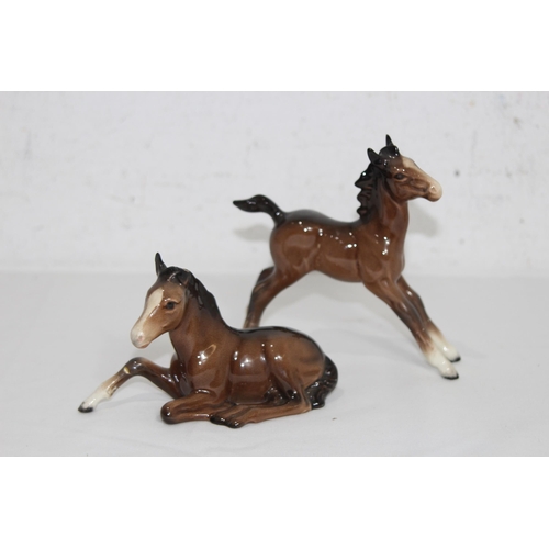 Lot 816       