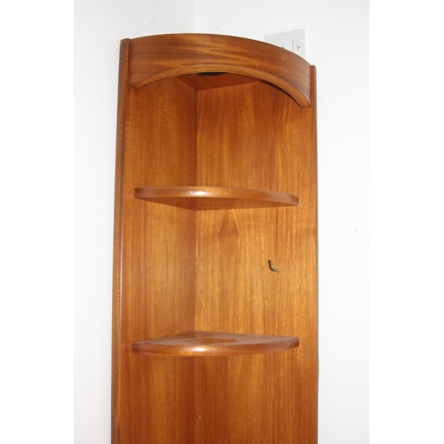 38 - RETRO NATHAN CORNER CABINET
66 X 44 X 195CM