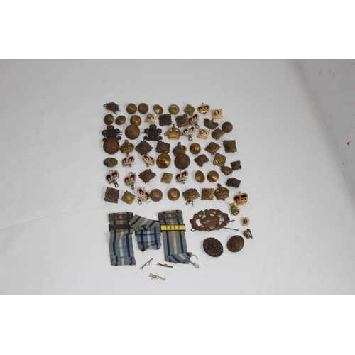 Lot 786       
