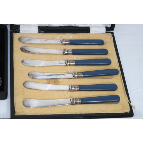 479 - QUANTITY OF CASED CUTLERY