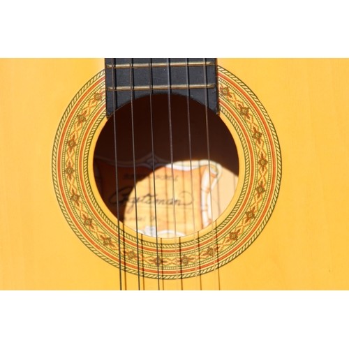 735 - CRAFTSMAN AND PALMA GUITARS