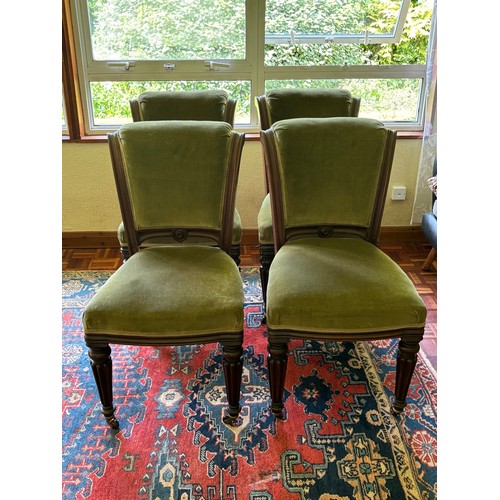 Lot 27        
