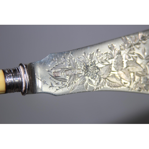 1053 - SILVER FISH SERVERS - SHEFFIELD 1905 - HAROLD ATKIN