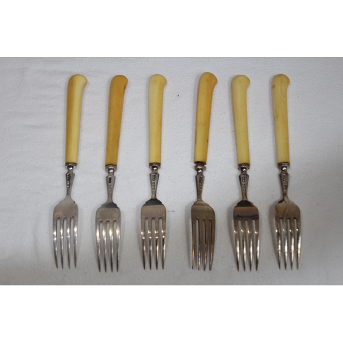 1059 - SIX SILVER FISH KNIVES AND FORKS IN CASE - BIRMINGHAM 1902 - ELKINGTON AND CO