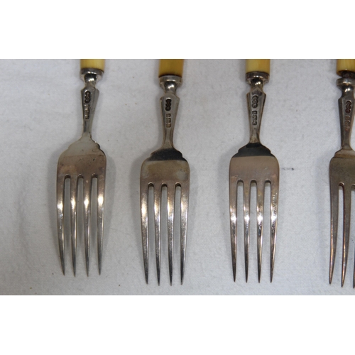 1059 - SIX SILVER FISH KNIVES AND FORKS IN CASE - BIRMINGHAM 1902 - ELKINGTON AND CO