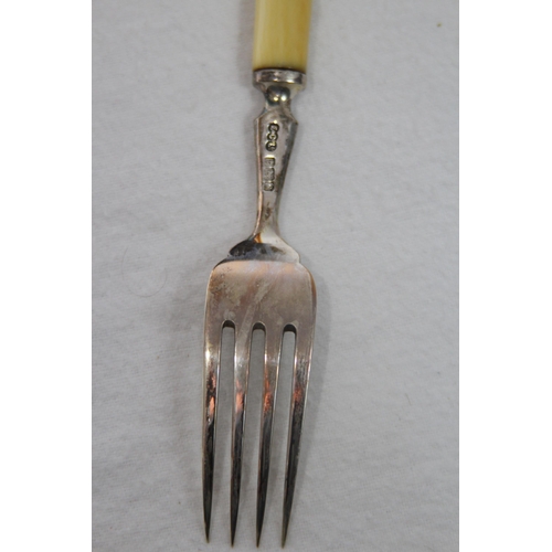 1059 - SIX SILVER FISH KNIVES AND FORKS IN CASE - BIRMINGHAM 1902 - ELKINGTON AND CO