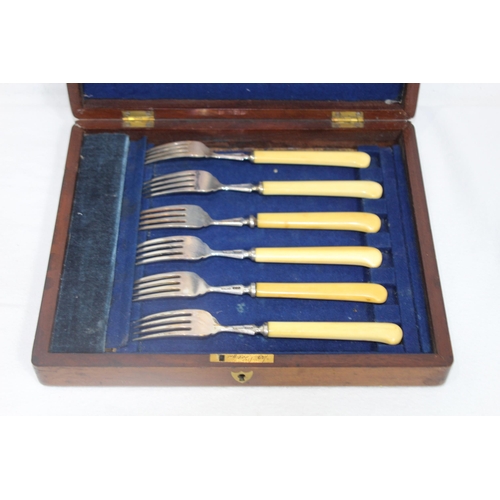 1059 - SIX SILVER FISH KNIVES AND FORKS IN CASE - BIRMINGHAM 1902 - ELKINGTON AND CO