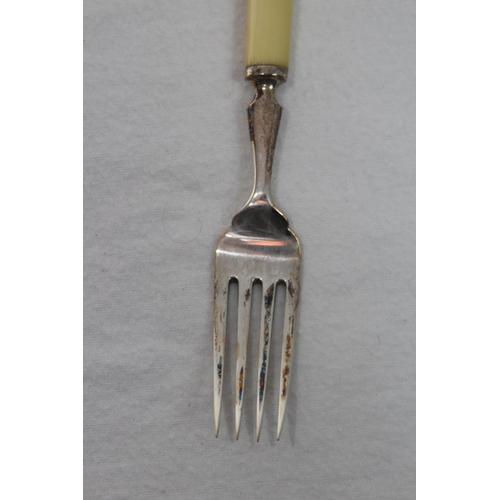 1059 - SIX SILVER FISH KNIVES AND FORKS IN CASE - BIRMINGHAM 1902 - ELKINGTON AND CO