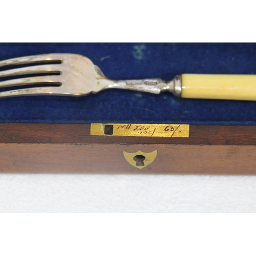 1059 - SIX SILVER FISH KNIVES AND FORKS IN CASE - BIRMINGHAM 1902 - ELKINGTON AND CO