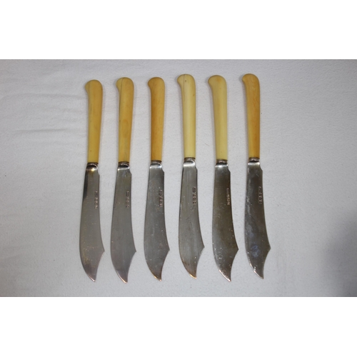 1059 - SIX SILVER FISH KNIVES AND FORKS IN CASE - BIRMINGHAM 1902 - ELKINGTON AND CO