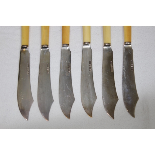 1059 - SIX SILVER FISH KNIVES AND FORKS IN CASE - BIRMINGHAM 1902 - ELKINGTON AND CO