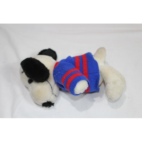 607 - VINTAGE SNOOPY PICTURE ANS CUDDLY SNOOPY BEARS
67 X 48CM