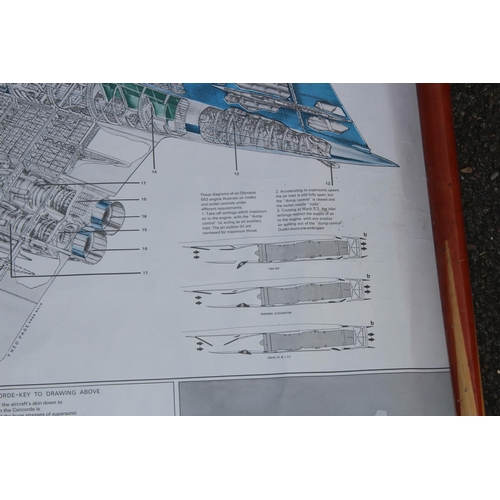 180 - VINTAGE SCHEMATIC PICTURE OF THE DETAILS OF CONCORDE
100 X 60CM