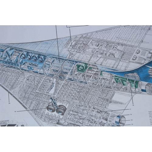 180 - VINTAGE SCHEMATIC PICTURE OF THE DETAILS OF CONCORDE
100 X 60CM