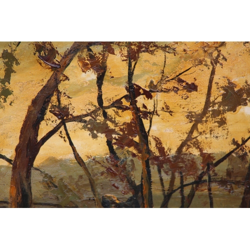 189 - VINTAGE SIGNED OIL ON CANVAS OF A WOODLAND SCENE
70 X 64CM