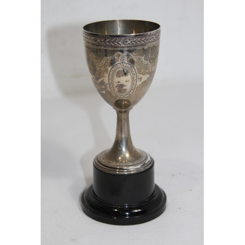 1180 - SILVER TROPHY - 98.4G EXCLUDING PLASTIC BASE BUT INCLUDING THE BOLT
16CM