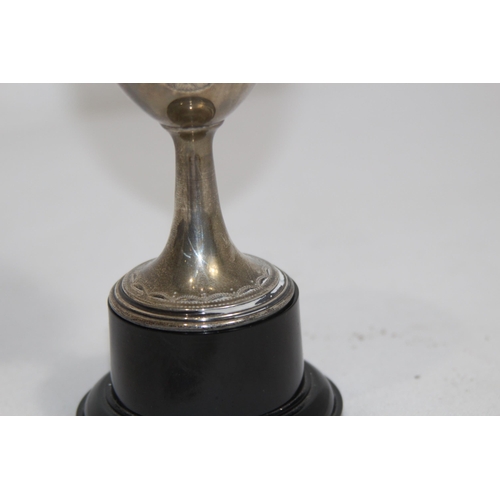 1180 - SILVER TROPHY - 98.4G EXCLUDING PLASTIC BASE BUT INCLUDING THE BOLT
16CM