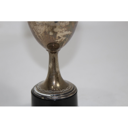 1180 - SILVER TROPHY - 98.4G EXCLUDING PLASTIC BASE BUT INCLUDING THE BOLT
16CM