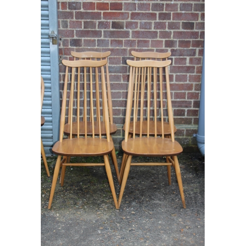 33 - BLONDE ERCOL SET OF FOUR GOLDSMITH CHAIRS 
43 X 42 X 98CM