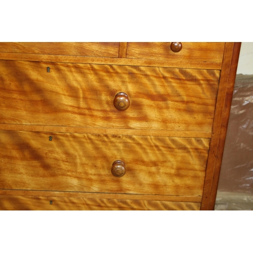 10 - EDWARDIAN WALNUT CHEST OF DRAWERS  5/3
117 X 55 X 118CM