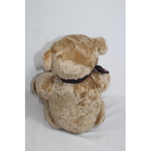 653 - GROWLER TEDDY BEAR
57CM